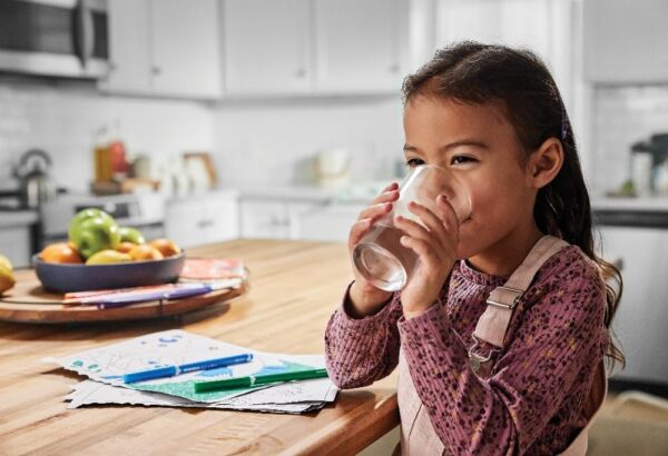 Frigidaire ULTRAWF Refrigerator Water Filter Replacement, White, 1 Count - Image 6