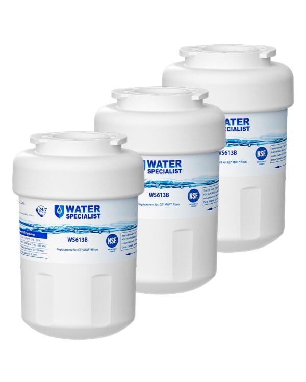 Waterspecialist WS613B Water Filter, Replacement for GE® MWF®, 3 Pack - Image 3
