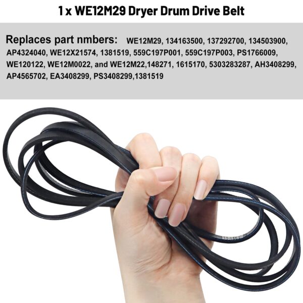 𝐔𝐩𝐠𝐫𝐚𝐝𝐞𝐝 WE12M29 Dryer Drum Drive Belt for G-E Hotpo-int Replaces 137292700 AP4324040 WE12M0022 WE12M22 WE12M29 WE12M33 WE12X21574 by Sikawai - Image 2