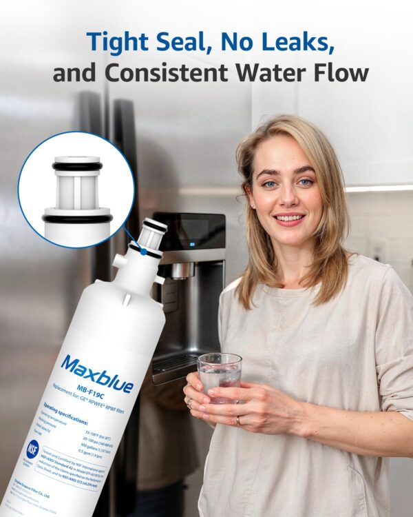 Maxblue MB-F19C Water Filter Replacement for GE® RPWFE®, 2 Pack - Image 2