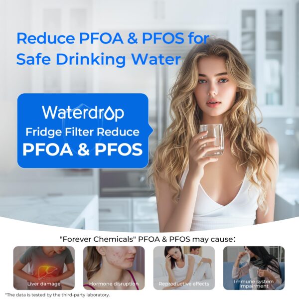 Waterdrop WD-F19C Water Filter Replacement for GE® RPWFE® - Image 2