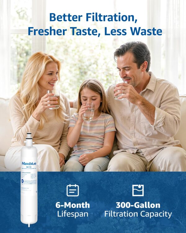 Maxblue MB-F19C Water Filter Replacement for GE® RPWFE®, 2 Pack